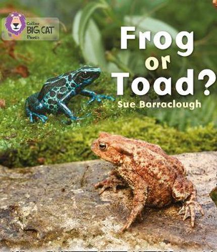 Cover image for Frog or Toad?: Band 03/Yellow