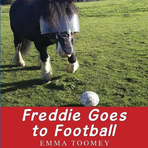 Cover image for Freddie Windsor Goes to Football