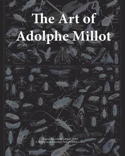 The Art of Adolphe Millot