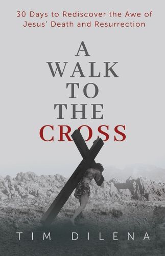 Cover image for A Walk to the Cross