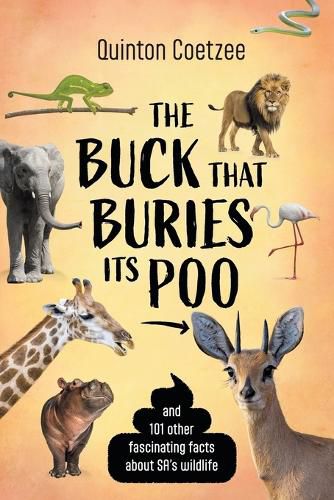 Cover image for The Buck That Buries Its Poo and 101 Other Fascinating Facts About SA's Wildlife