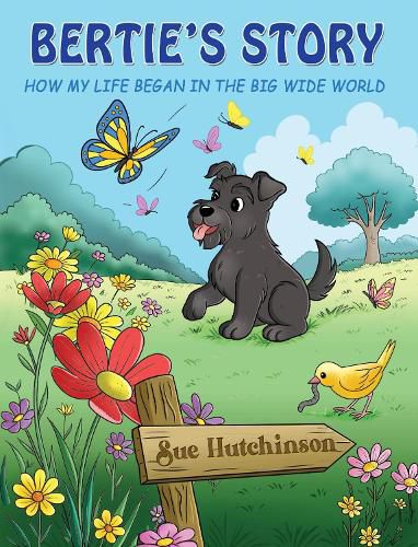 Cover image for Bertie's Story - How My Life Began in the Big Wide World