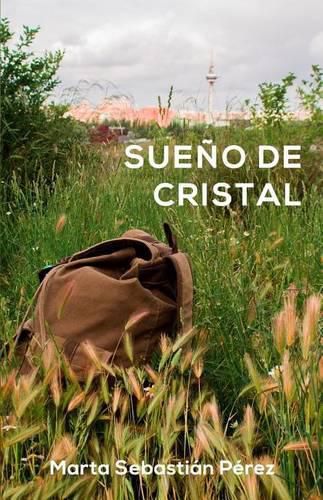 Cover image for Sueno de cristal