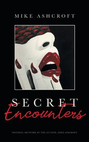 Cover image for Secret Encounters