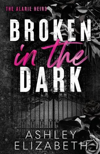 Cover image for Broken in the Dark