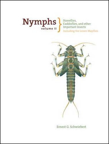 Cover image for Nymphs, Stoneflies, Caddisflies, and Other Important Insects: Including The Lesser Mayflies