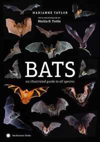 Cover image for Bats: An Illustrated Guide to All Species