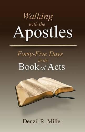 Cover image for Walking with the Apostles: Forth-Five Days in the Book of Acts