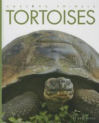 Cover image for Tortoises