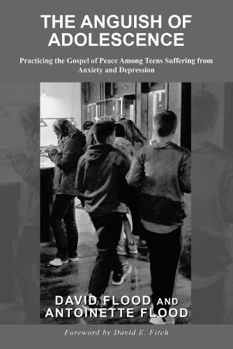 Cover image for The Anguish of Adolescence