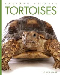 Cover image for Tortoises