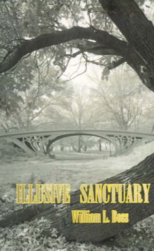 Cover image for Illusive Sanctuary