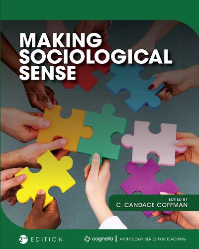 Cover image for Making Sociological Sense