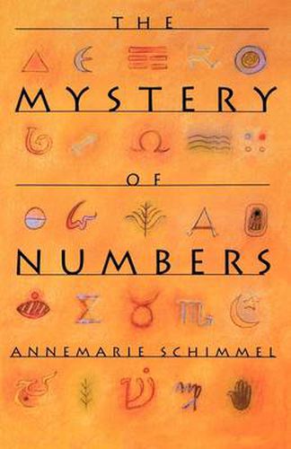 Cover image for The Mystery of Numbers