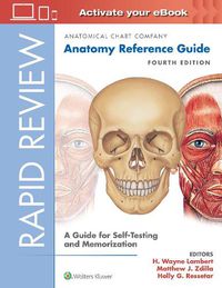 Cover image for Rapid Review: Anatomy Reference Guide: A Guide for Self-Testing and Memorization