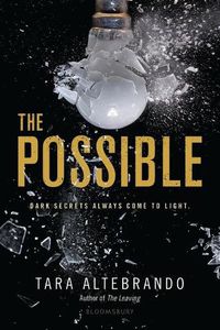 Cover image for The Possible