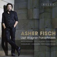 Cover image for Liszt Wagner Paraphrases