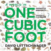 Cover image for A World in One Cubic Foot