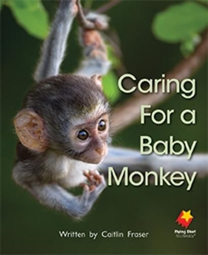 Cover image for Caring For A Baby Monkey