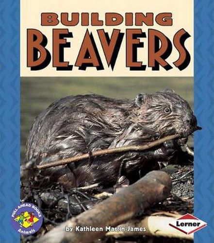 Cover image for Building Beavers