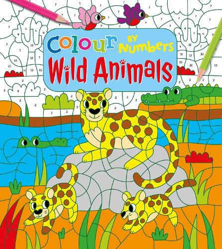 Cover image for Colour by Numbers: Wild Animals