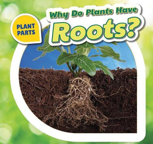 Cover image for Why Do Plants Have Roots?