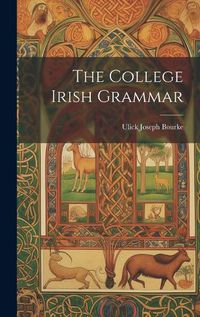 Cover image for The College Irish Grammar