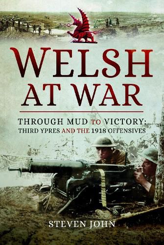 Cover image for The Welsh at War