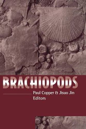 Cover image for Brachiopods