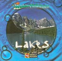 Cover image for Lakes