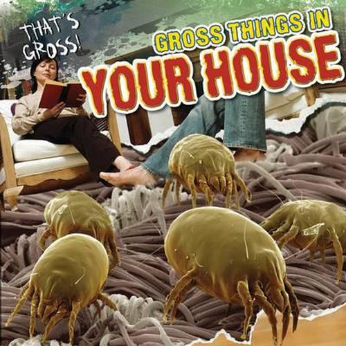 Cover image for Gross Things in Your House
