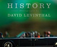 Cover image for History: David Levinthal