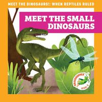 Cover image for Meet the Small Dinosaurs