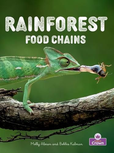Cover image for Rainforest Food Chains