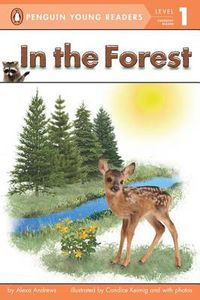 Cover image for In the Forest