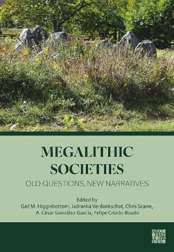 Cover image for Megalithic Societies
