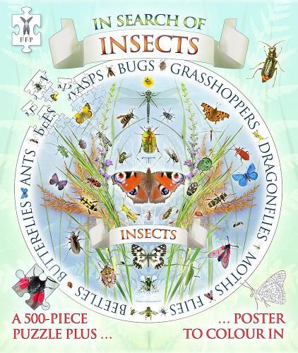Cover image for In Search of Insects Jigsaw and Poster
