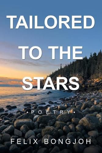 Cover image for Tailored to the Stars