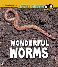 Cover image for Wonderful Worms