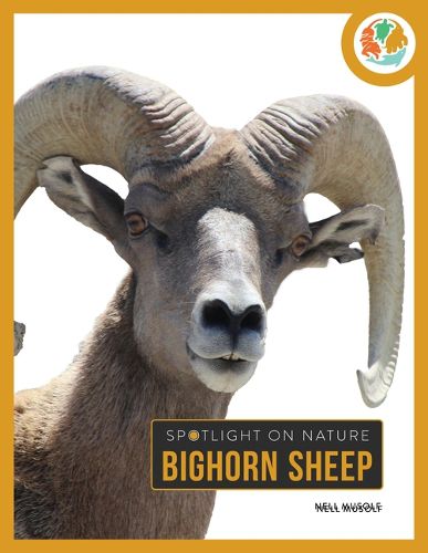 Cover image for Bighorn Sheep