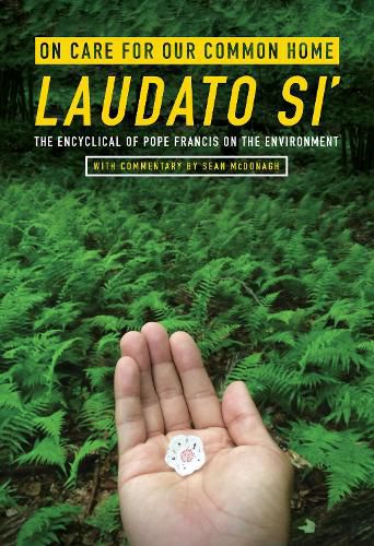 Cover image for On Care for Our Common Home, Laudato Si': The Encyclical of Pope Francis on the Environment with Commentary by Sean McDonagh
