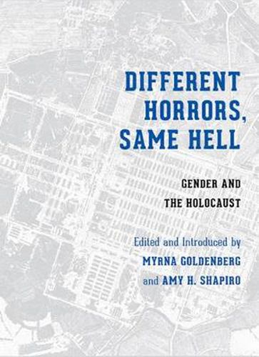 Cover image for Different Horrors, Same Hell: Gender and the Holocaust