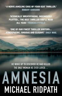 Cover image for Amnesia: An 'ingenious' and 'twisting novel', perfect for fans of Peter Lovesey and William Ryan