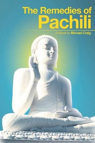 Cover image for The Remedies of Pachili: A Transformational Novel