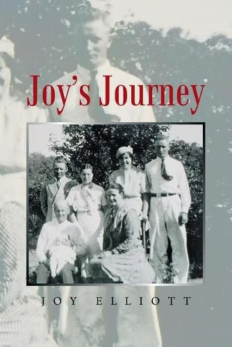 Cover image for Joy's Journey