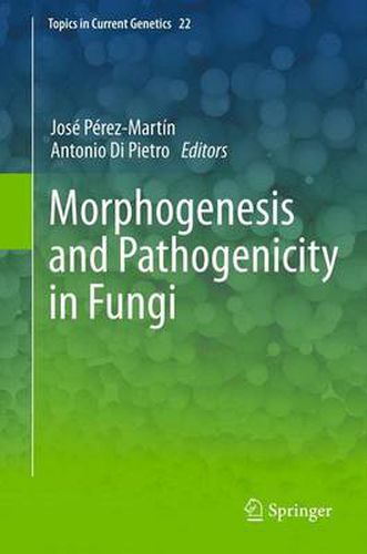 Cover image for Morphogenesis and Pathogenicity in Fungi