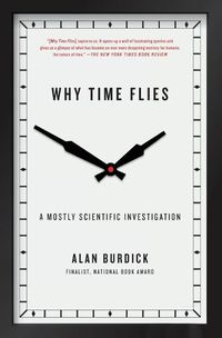 Cover image for Why Time Flies: A Mostly Scientific Investigation
