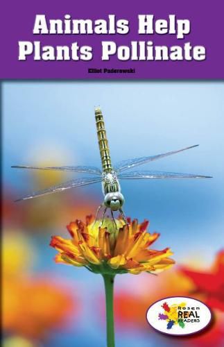 Cover image for Animals Help Plants Pollinate