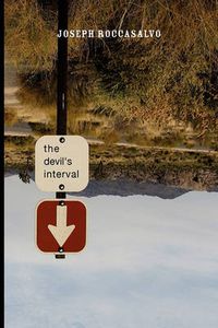 Cover image for The Devil's Interval