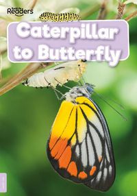 Cover image for Caterpillar to Butterfly